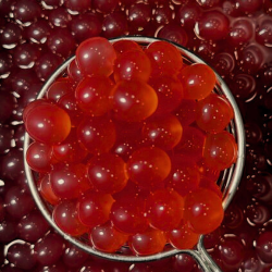Żurawinowe kulki do Bubble Tea 3,4 kg - Popping Boba